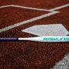 Fastpitch Softball * | Rawlings Ombre -11 Fastpitch Bat